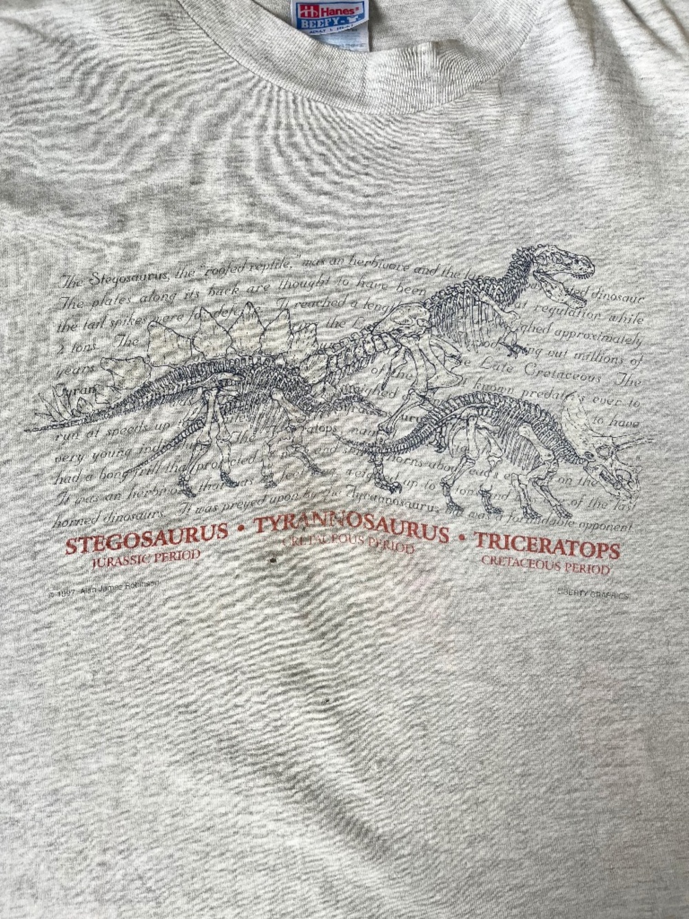 Vintage 90s Discovery Channel Dinosaur Stegosaurus Tyrannosaurus Tricetops